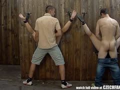 Glory Hole Ficks mit anonymen Schlampen